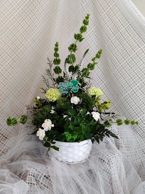 St. Patrick's from Joseph Genuardi Florist in Norristown, PA