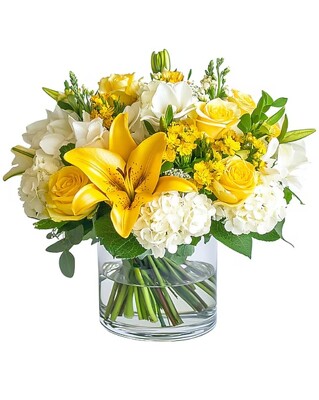 Lemon Blossom from Joseph Genuardi Florist in Norristown, PA
