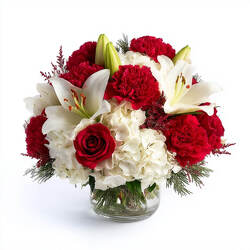 Sugarplum Snowfall from Joseph Genuardi Florist in Norristown, PA