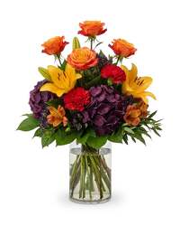 Harvest Twilight Radiance from Joseph Genuardi Florist in Norristown, PA