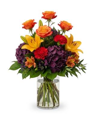 Harvest Twilight Radiance from Joseph Genuardi Florist in Norristown, PA