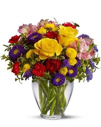 Brighten Your Day from Joseph Genuardi Florist in Norristown, PA