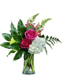 Snappy Birthday from Joseph Genuardi Florist in Norristown, PA