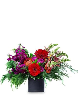 Fiesta Time from Joseph Genuardi Florist in Norristown, PA