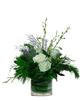 Winter Wishes from Joseph Genuardi Florist in Norristown, PA