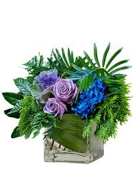 Moody Blues from Joseph Genuardi Florist in Norristown, PA