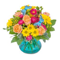 Beach Days from Joseph Genuardi Florist in Norristown, PA