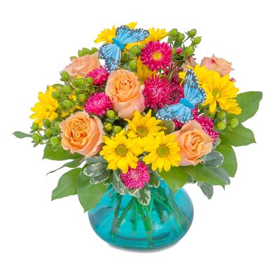 Beach Days from Joseph Genuardi Florist in Norristown, PA