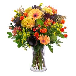 Harvest Gathering from Joseph Genuardi Florist in Norristown, PA