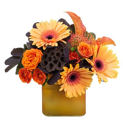 Cider from Joseph Genuardi Florist in Norristown, PA
