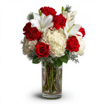 Christmas Morning Bloom from Joseph Genuardi Florist in Norristown, PA