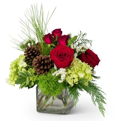 Wintertime Wishes from Joseph Genuardi Florist in Norristown, PA