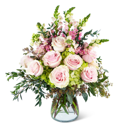 Dreamy Roses Supreme from Joseph Genuardi Florist in Norristown, PA