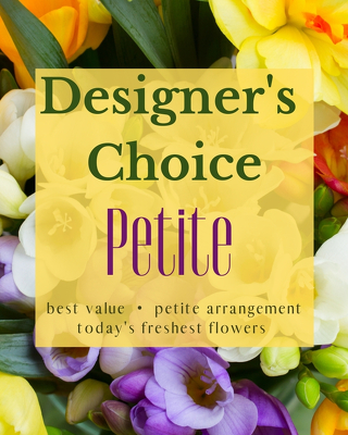 Designer's Choice - Petite from Joseph Genuardi Florist in Norristown, PA