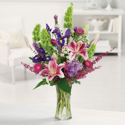 Stargazer Garden from Joseph Genuardi Florist in Norristown, PA