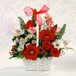 Red and White Delight from Joseph Genuardi Florist in Norristown, PA