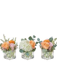 Three's Company from Joseph Genuardi Florist in Norristown, PA