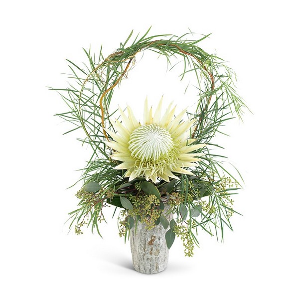 Wild Child Protea from Joseph Genuardi Florist in Norristown, PA