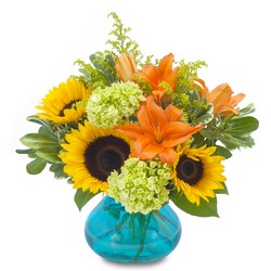 Beautiful Day from Joseph Genuardi Florist in Norristown, PA