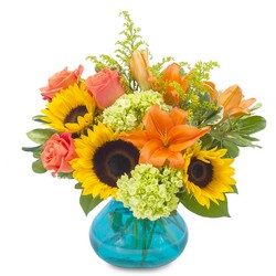 Sunshine Day from Joseph Genuardi Florist in Norristown, PA