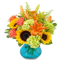 Delightful Day from Joseph Genuardi Florist in Norristown, PA