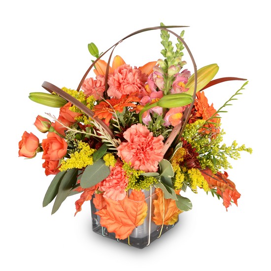 Leaf Your Worries Behind from Joseph Genuardi Florist in Norristown, PA