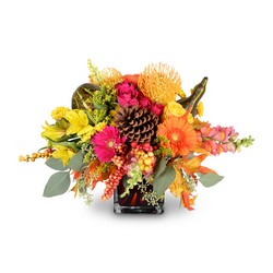 Bonfire Nights from Joseph Genuardi Florist in Norristown, PA