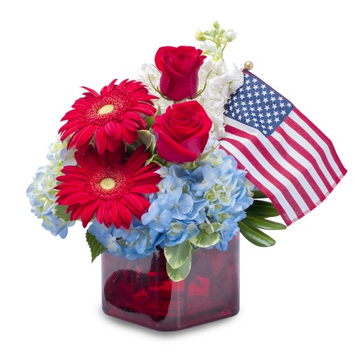 Independence from Joseph Genuardi Florist in Norristown, PA