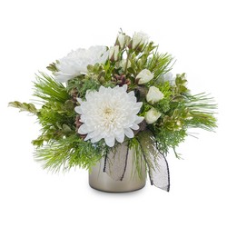 Simple Luxury from Joseph Genuardi Florist in Norristown, PA