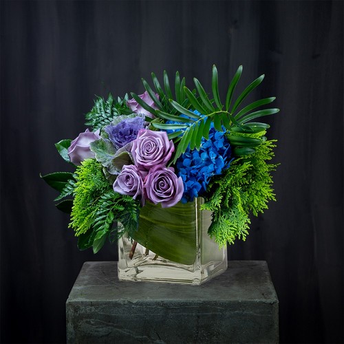 Moody Blues Afternoon from Joseph Genuardi Florist in Norristown, PA