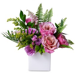 Spring Joy from Joseph Genuardi Florist in Norristown, PA