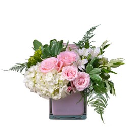 Pure Love from Joseph Genuardi Florist in Norristown, PA