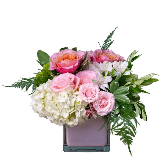 Pure Love from Joseph Genuardi Florist in Norristown, PA