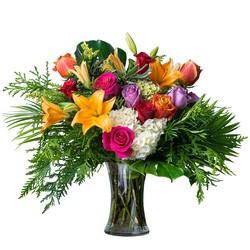 Fun Blooms from Joseph Genuardi Florist in Norristown, PA