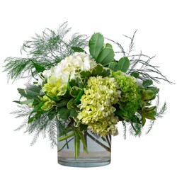 Express from Joseph Genuardi Florist in Norristown, PA