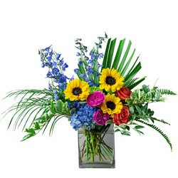 Happy Hour from Joseph Genuardi Florist in Norristown, PA