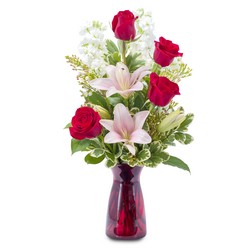 Tender Love from Joseph Genuardi Florist in Norristown, PA