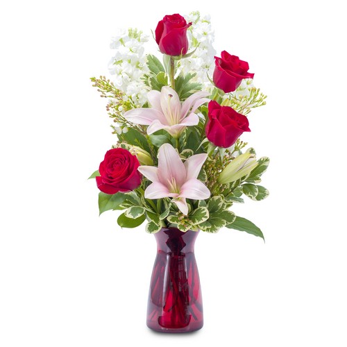 Tender Love from Joseph Genuardi Florist in Norristown, PA