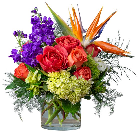 Flower delivery in Norristown PA