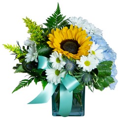 Daisy Joy from Joseph Genuardi Florist in Norristown, PA