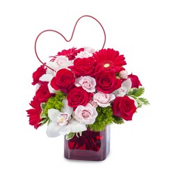 Heartfelt Love from Joseph Genuardi Florist in Norristown, PA