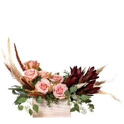Blushing Rose from Joseph Genuardi Florist in Norristown, PA