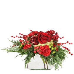 Merry Crimson from Joseph Genuardi Florist in Norristown, PA