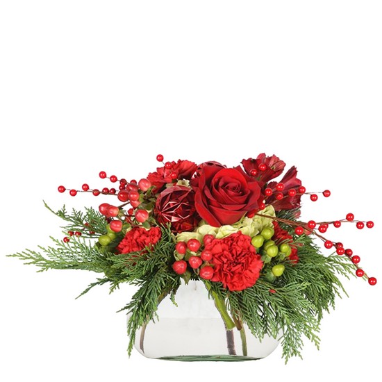 Merry Crimson from Joseph Genuardi Florist in Norristown, PA