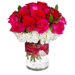 Hugs and Kisses from Joseph Genuardi Florist in Norristown, PA