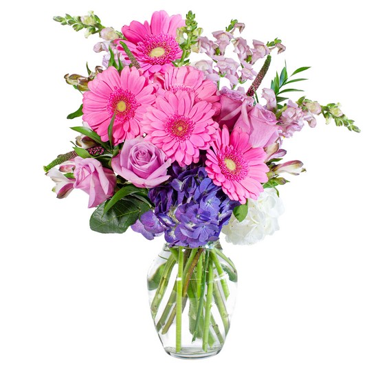 Special Delivery from Joseph Genuardi Florist in Norristown, PA