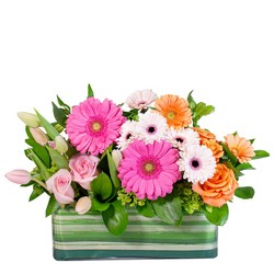 April Showers from Joseph Genuardi Florist in Norristown, PA