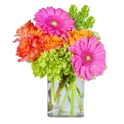 Rainbow Sherbet from Joseph Genuardi Florist in Norristown, PA