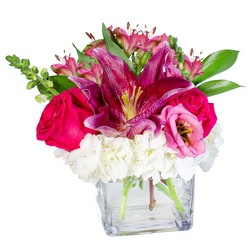 Bee Mine from Joseph Genuardi Florist in Norristown, PA