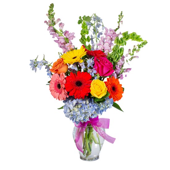 Hoopla from Joseph Genuardi Florist in Norristown, PA